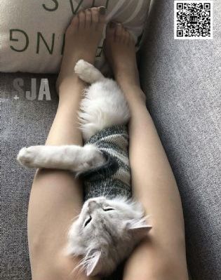 青青青亚洲精品国产_DVD在线观看高清