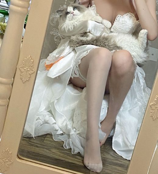 强势标记小说免费观看_BT种子搜索